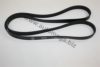 FORD 1320289 V-Ribbed Belts